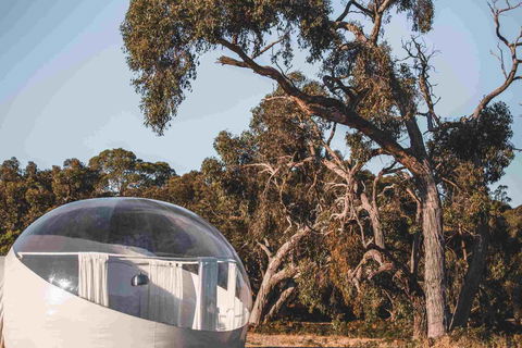 Coonawarra Bubble Tents - Surfers Gold Coast 0