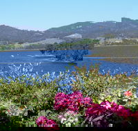 Donalea Bed  Breakfast Tasmania - Surfers Gold Coast