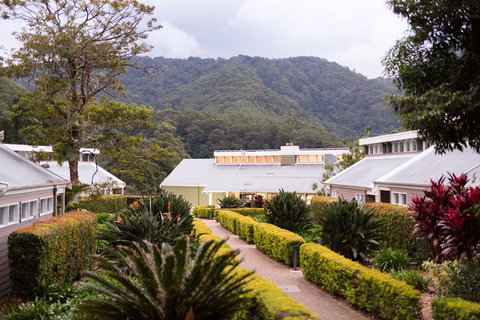 Eden Health Retreat - Surfers Gold Coast 0