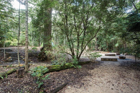 Eungella National Park Camping - Surfers Gold Coast 0
