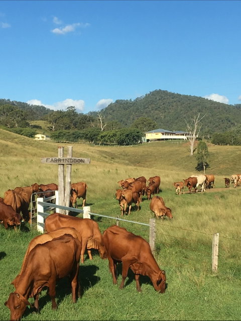 Farringdon Homestead - Surfers Gold Coast 0