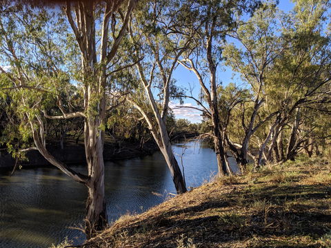 Four Mile Camping Reserve - Surfers Gold Coast 2