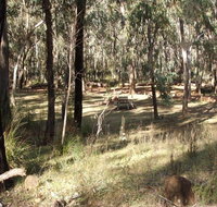 Greenbah campground - Surfers Gold Coast