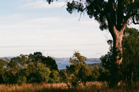 Hilltop Barn At Swan Bay - Surfers Gold Coast 0