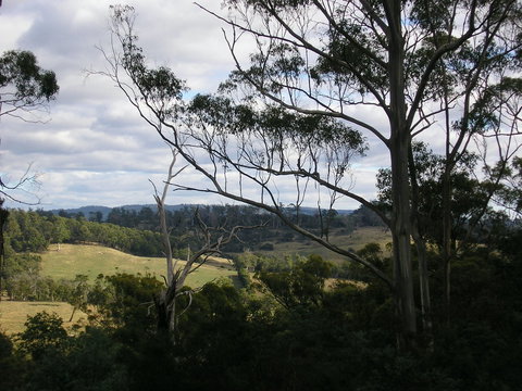 Hilltop Barn At Swan Bay - Surfers Gold Coast 1