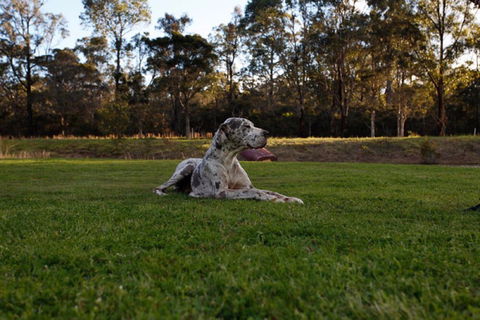 Hunter Valley Retreat - Surfers Gold Coast 0
