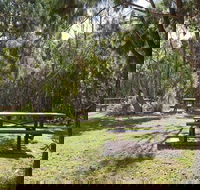Illaroo group camping area - Surfers Gold Coast