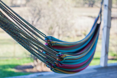 Lone Pine Homestead - Surfers Gold Coast 2