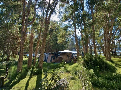Neranie Campground And Picnic Area - Surfers Gold Coast 0
