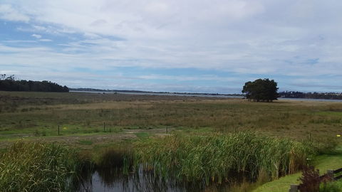 Pelican Point Sanctuary - Surfers Gold Coast 7