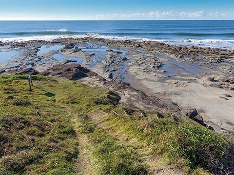 Shelley Head Campground - Surfers Gold Coast 4