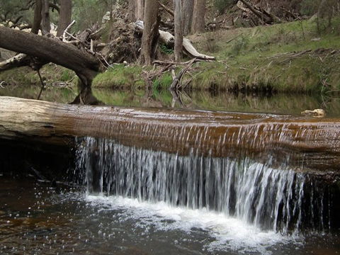 Silent Creek Campground - Surfers Gold Coast 1