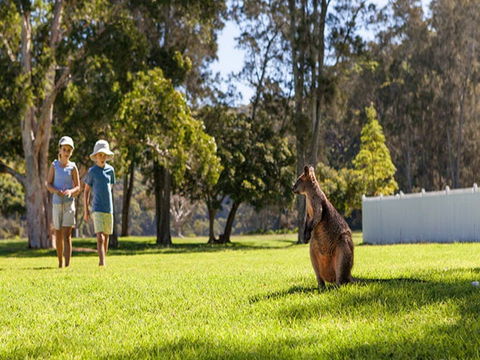 The Basin Campground - Surfers Gold Coast 4