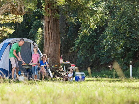 The Basin Campground - Surfers Gold Coast 5