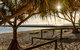 The Waterloo Bay Hotel - thumb 1
