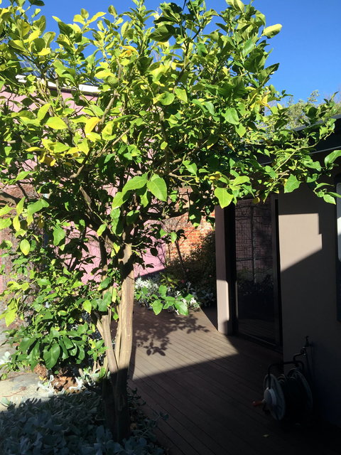 Westerley Accommodation - James House - Surfers Gold Coast 9