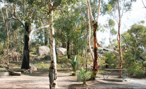 Bald Hill  Camp At Avon Valley National Park - Surfers Gold Coast 0