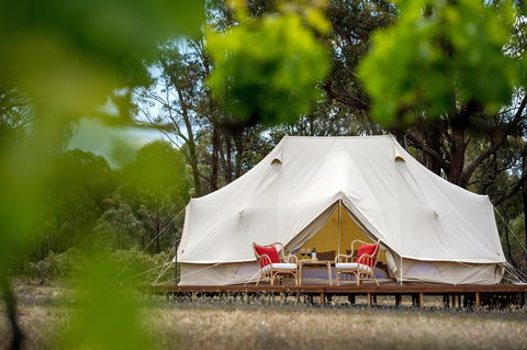 Balgownie Estate Winery Glamping & Accommodation - Surfers Gold Coast 0