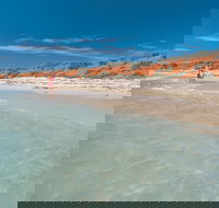 Bottle Bay Camp at Francois Peron National Park - Surfers Gold Coast