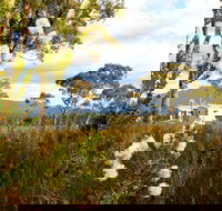 Buttongrass Retreat - Surfers Gold Coast