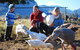 Cedar Glen Farmstay - thumb 0