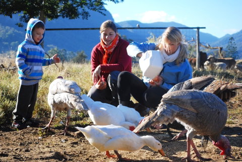 Cedar Glen Farmstay - Surfers Gold Coast 0