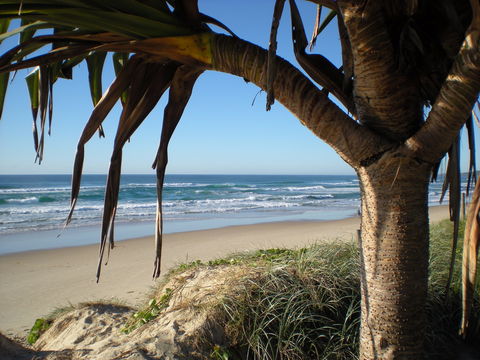Horizons At Peregian - Surfers Gold Coast 0