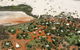 Lombadina Aboriginal Corporation - thumb 0