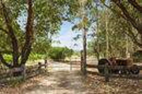 Red Tractor Retreat - Surfers Gold Coast 2