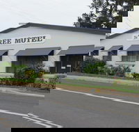 Tree Motel - Surfers Gold Coast