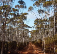 Victoria Rock Camp at Goldfields Woodlands National Park - Surfers Gold Coast