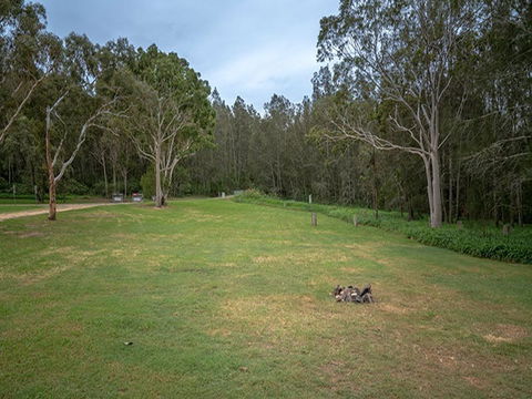 Violet Hill Campground And Picnic Area - Surfers Gold Coast 2