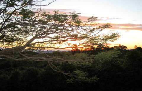 Annie's Place Bed And Breakfast - Surfers Gold Coast 0