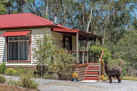 Araluen Park Cottages - Surfers Gold Coast 0
