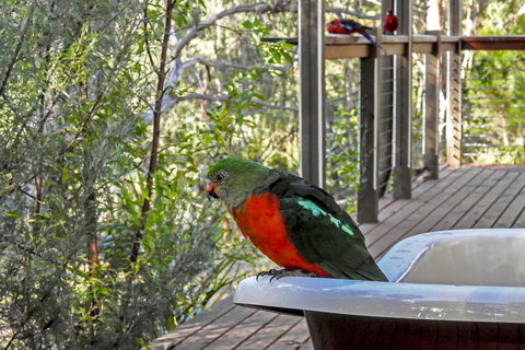 Araluen Park Cottages - Surfers Gold Coast 2