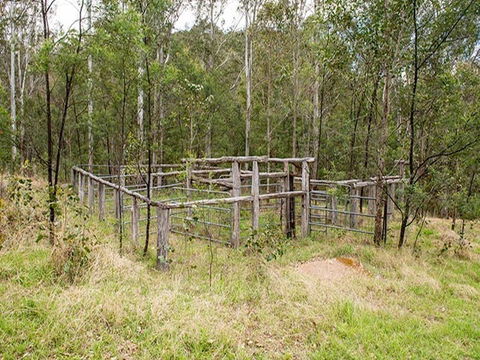 Blue Gums Campground - Surfers Gold Coast 1