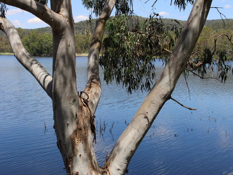 Bumberry Dam - Surfers Gold Coast 0