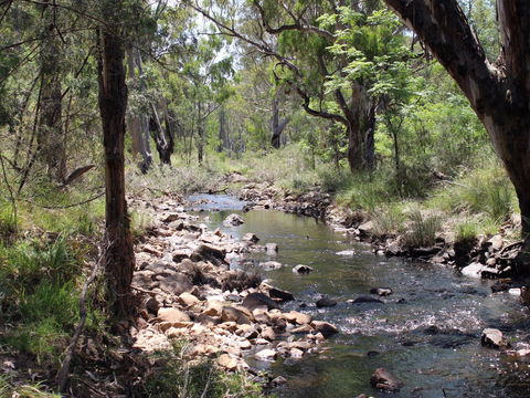 Bumberry Dam - Surfers Gold Coast 1