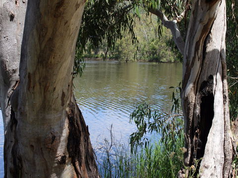 Bumberry Dam - Surfers Gold Coast 2