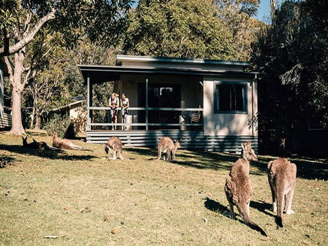 Depot Beach Cabins - Surfers Gold Coast 0
