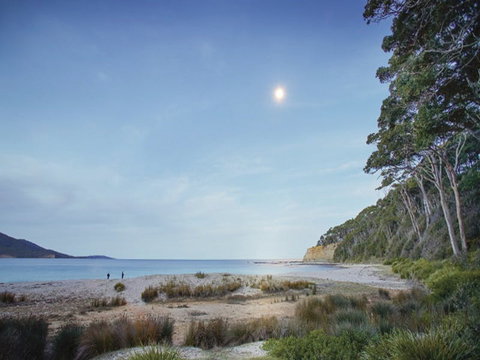 Depot Beach Cabins - Surfers Gold Coast 2