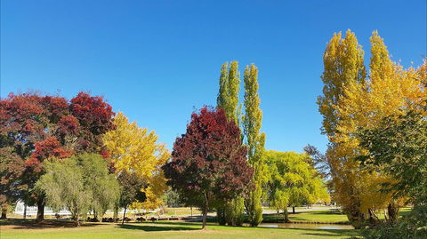 Lockhart Caravan Park - Surfers Gold Coast 1