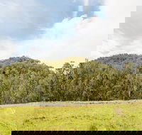 Mountain Arm campground - Surfers Gold Coast