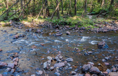 Toorooroo Campground - Surfers Gold Coast 0