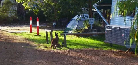 Aroundtu-It Eco Caravan Park - Surfers Gold Coast 5