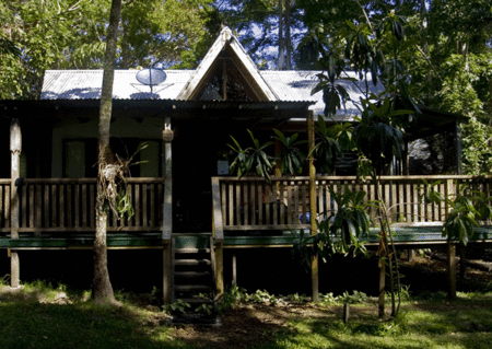 The Arts Factory Backpackers Lodge - Surfers Gold Coast 4