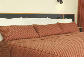 Margarets Forest Holiday Apartments - Surfers Gold Coast