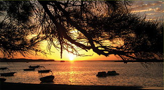 Pelican's Nest - Surfers Gold Coast 0