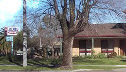 Albury Allawa Motor Inn - Surfers Gold Coast 1