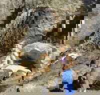 Misty Valley Country Cottages - Surfers Gold Coast